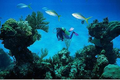 《战地2042》首发不支持私服 不支持排位模式